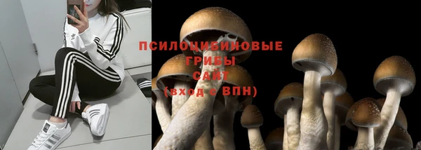 винт Каменка