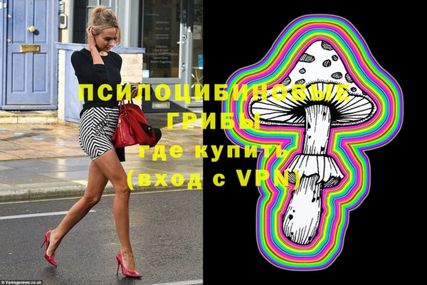 винт Каменка