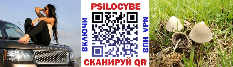 Купить закладки  Игарка  Галлюциногенные грибы Psilocybine cubensis 